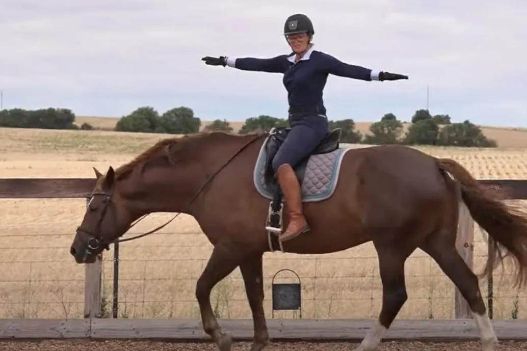 An Australian Stock Horse being ridden in an outdoor arena