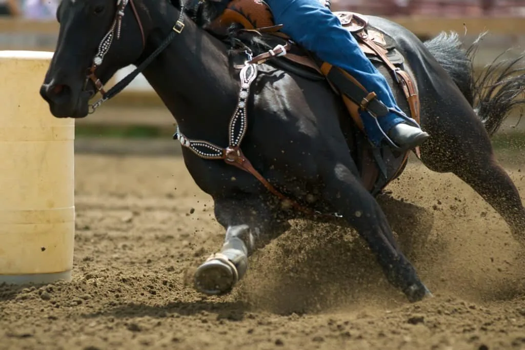 A horse and rider racing around a barrel in an arena