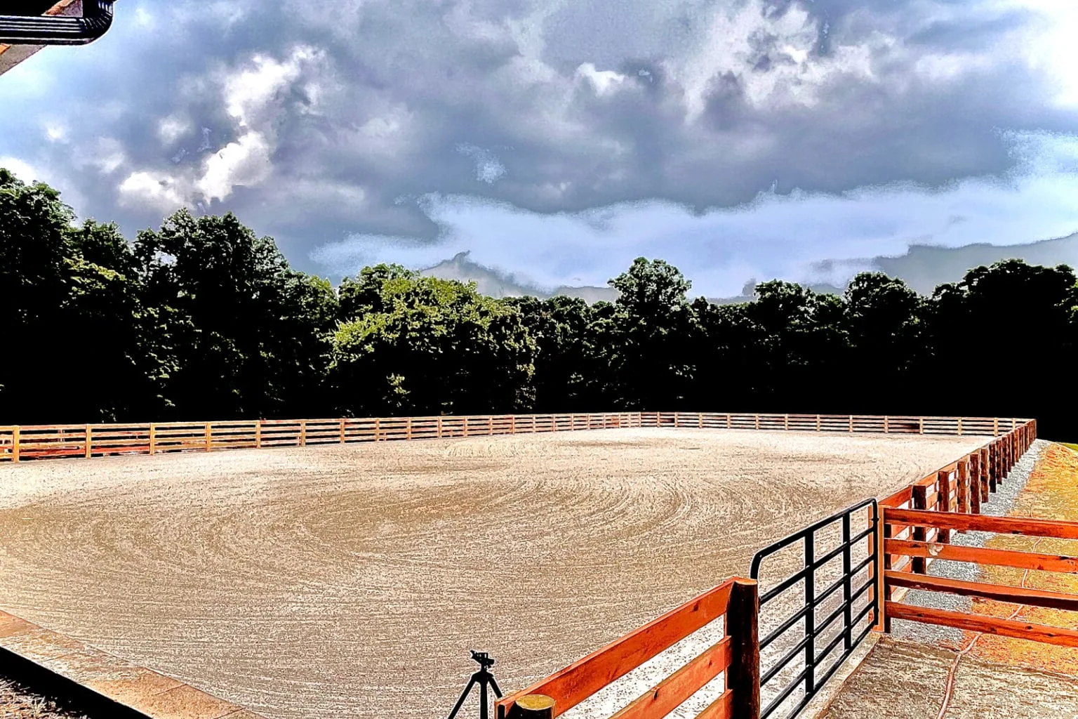 Budenny Horse - Training notes