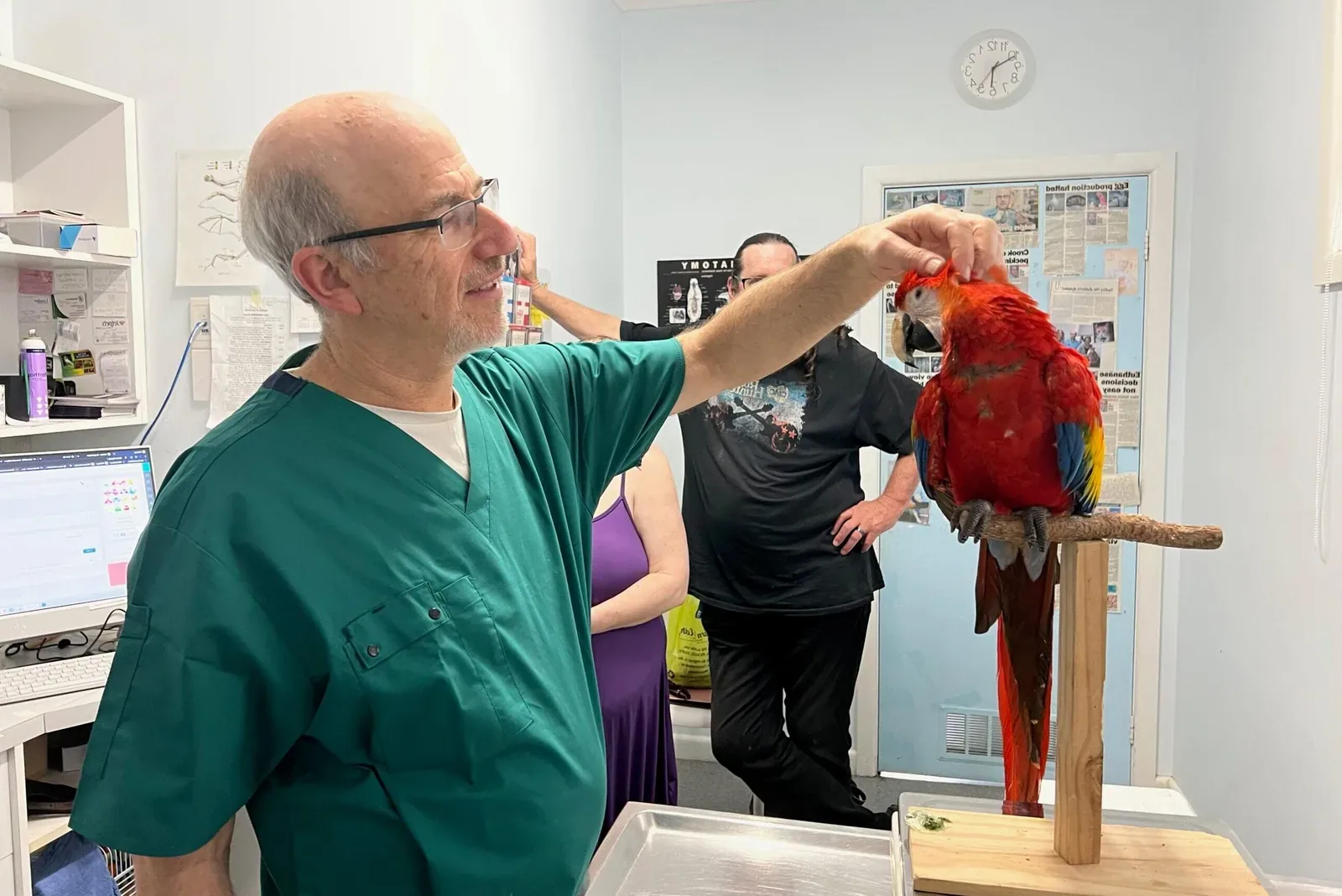 pet bird - Common health issues in pet birds
