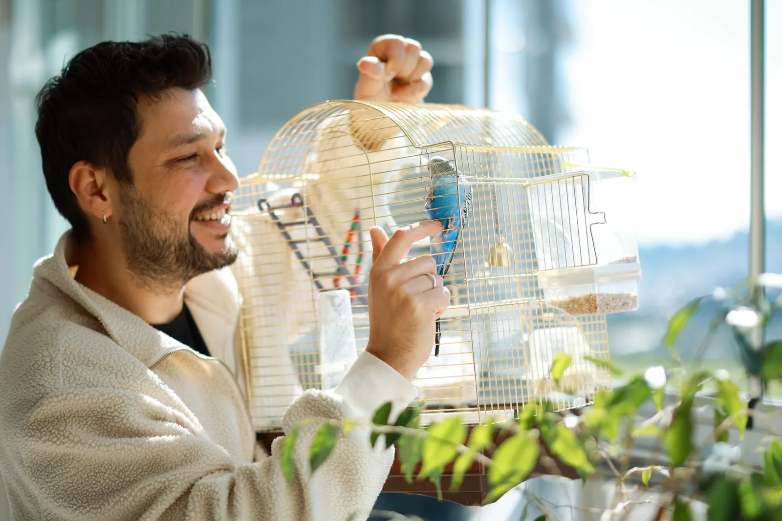 pet bird - Tips for bonding with your pet bird