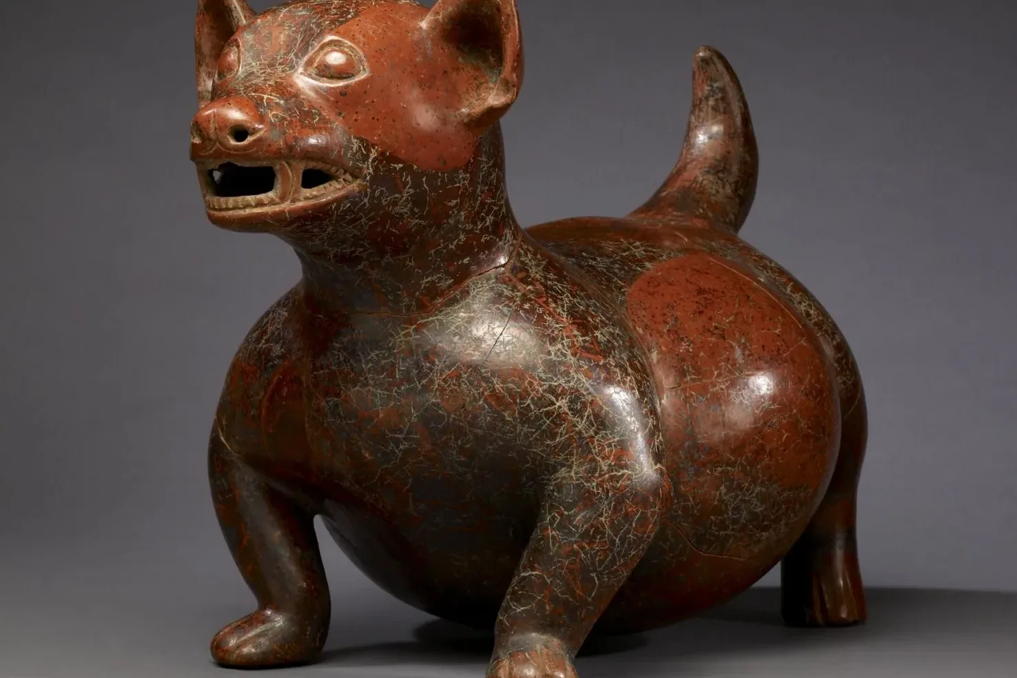 Chihuahua - History and origin