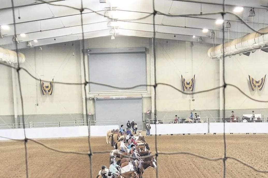 A young rider on a horse in an arena, focused and learning.