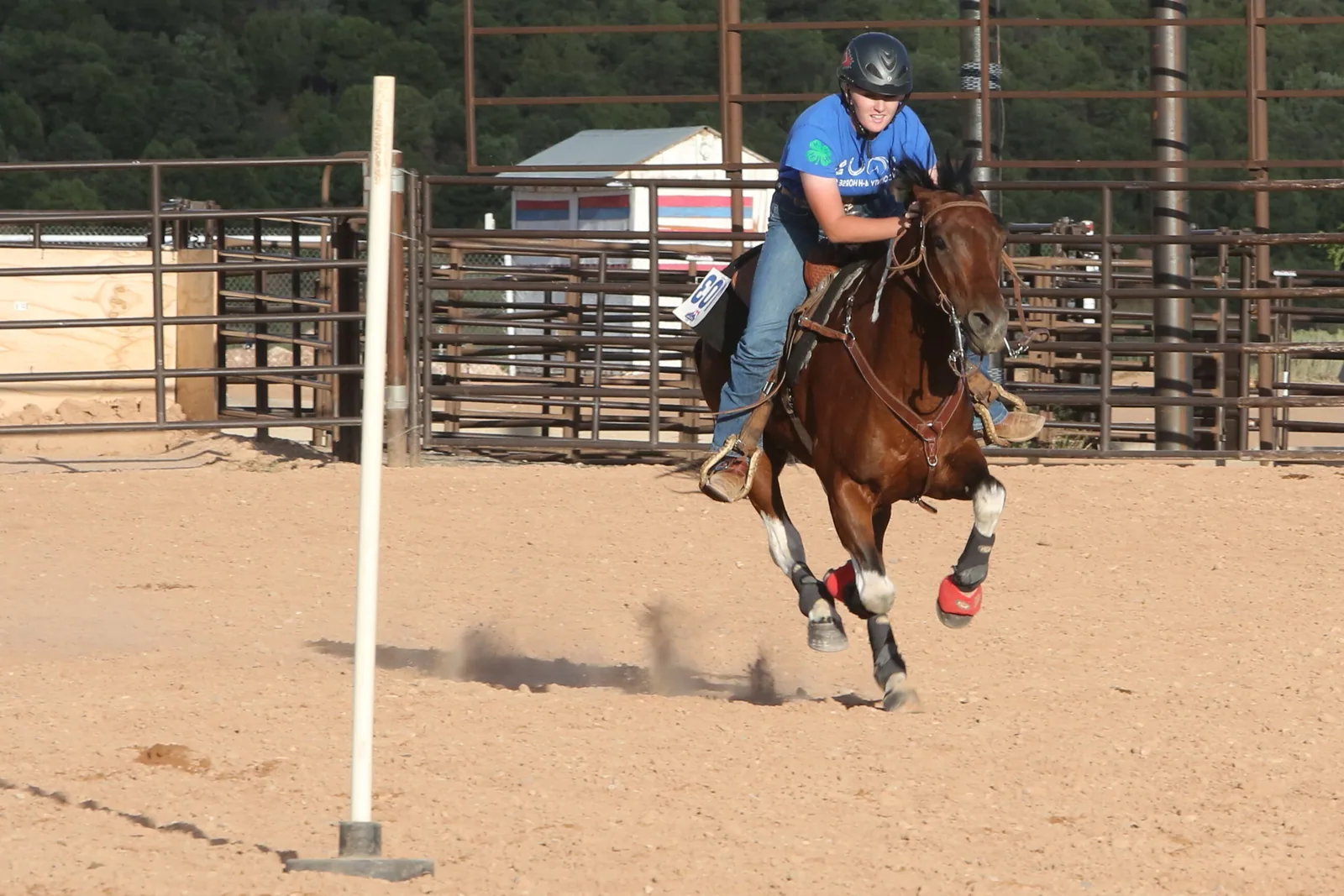 A 4-H horse program participant riding a horse in an Australian field