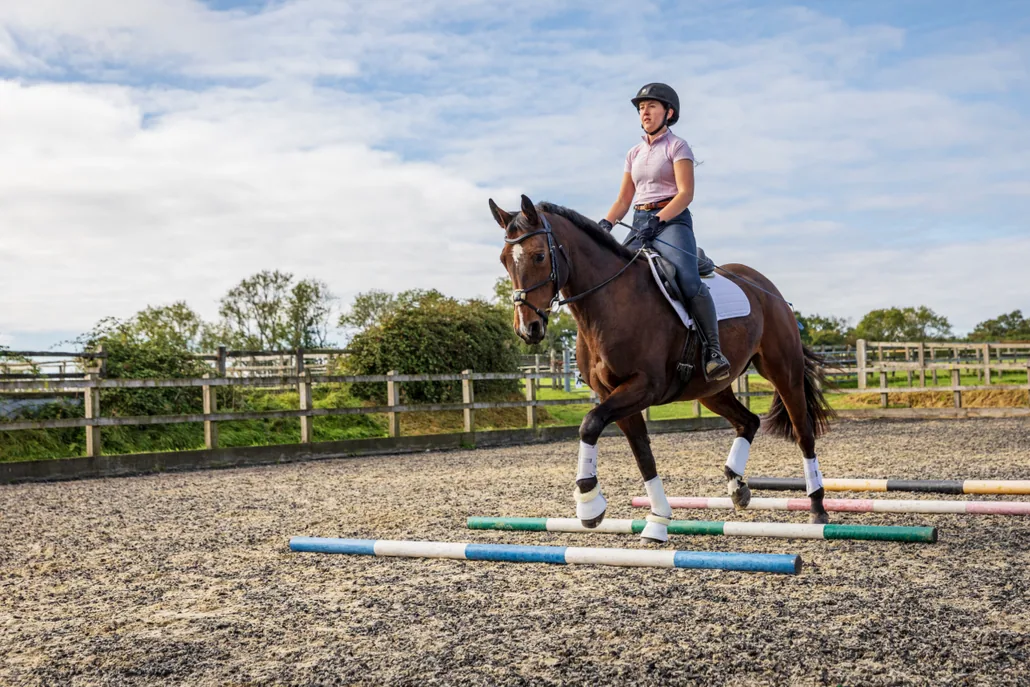 An Alter Real horse being ridden in an outdoor arena with a trainer.