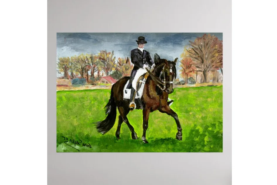 An Alter Real horse standing in a field, looking at the camera.