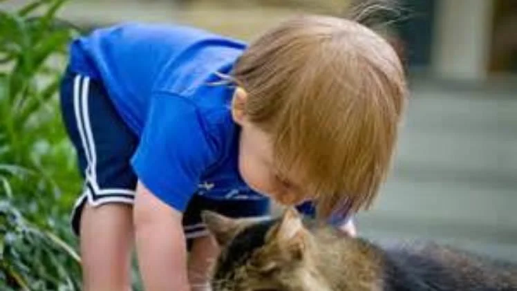 Cat Allergy? I'd rather have Malaria