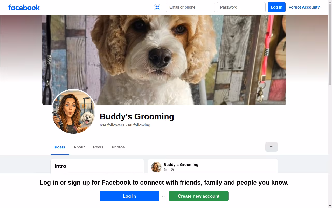 Buddy's Grooming