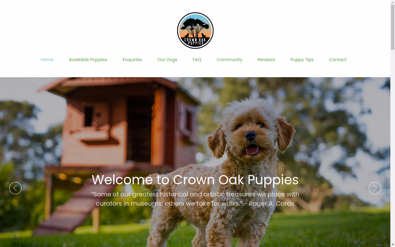 Crown Oak Puppies