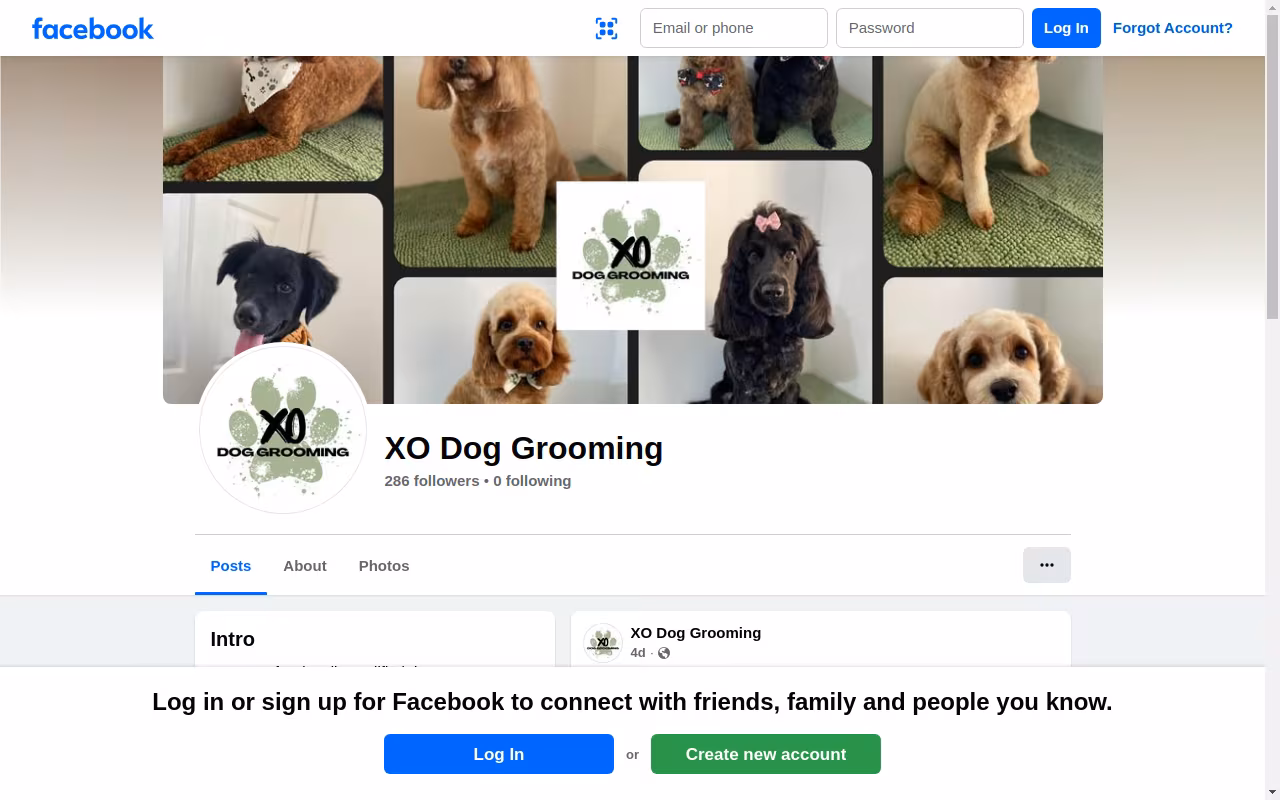 XO Dog Grooming