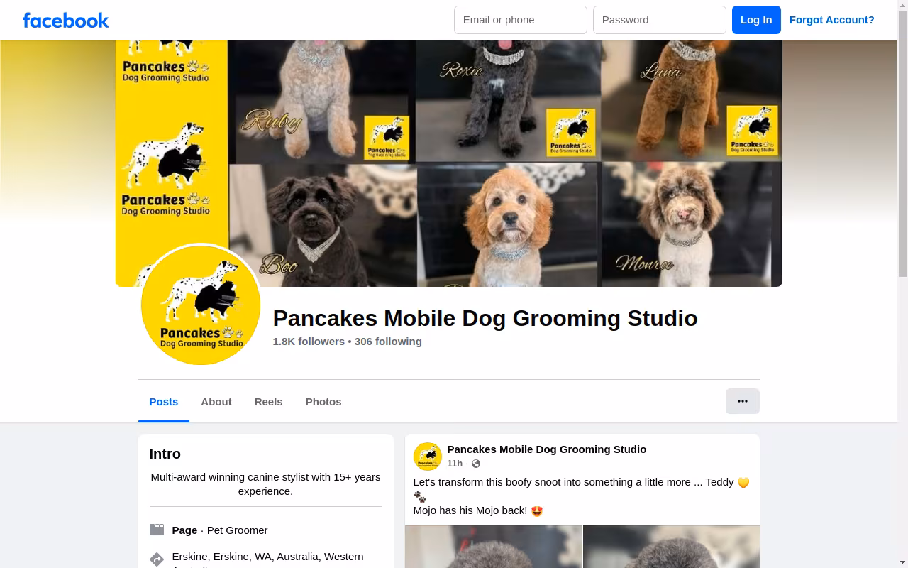 Pancakes Mobile Dog Grooming Studio