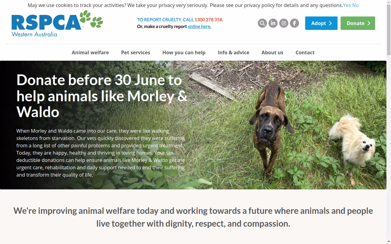 RSPCA WA