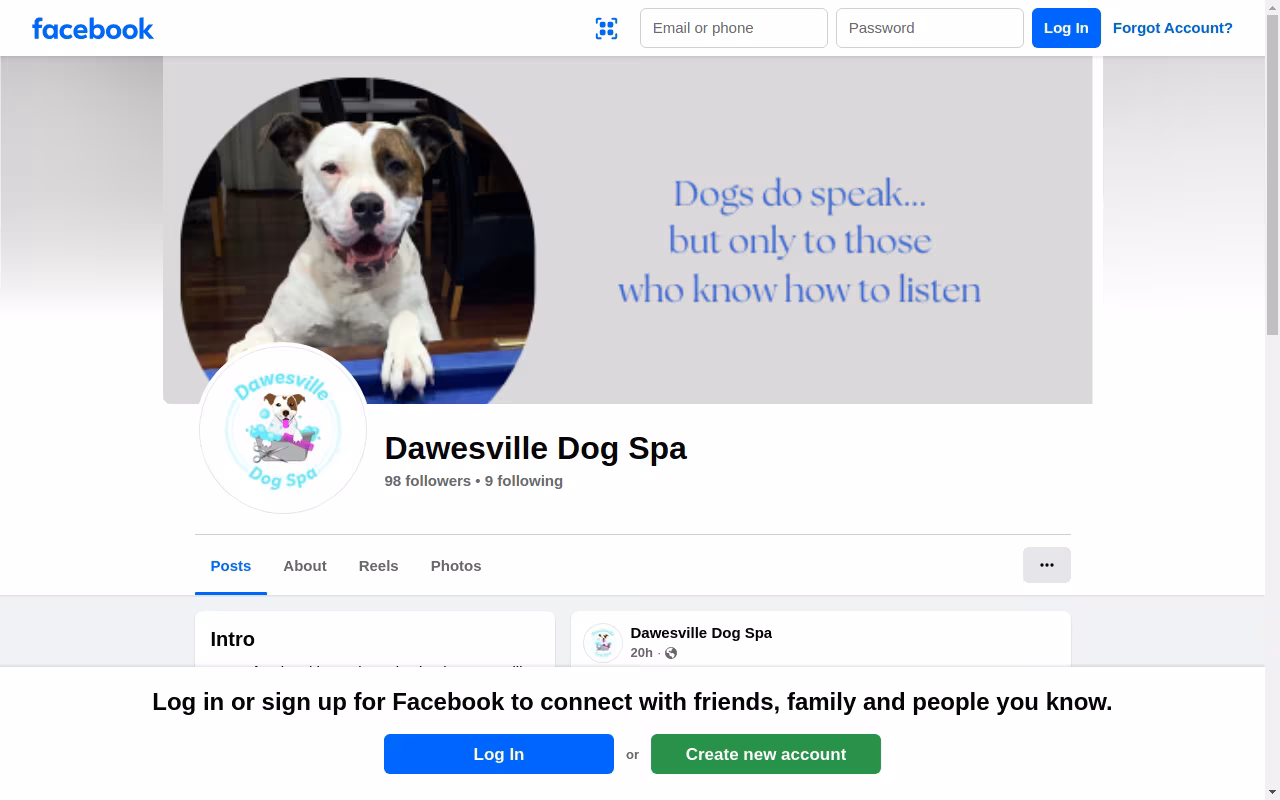 Dawesville Dog Spa