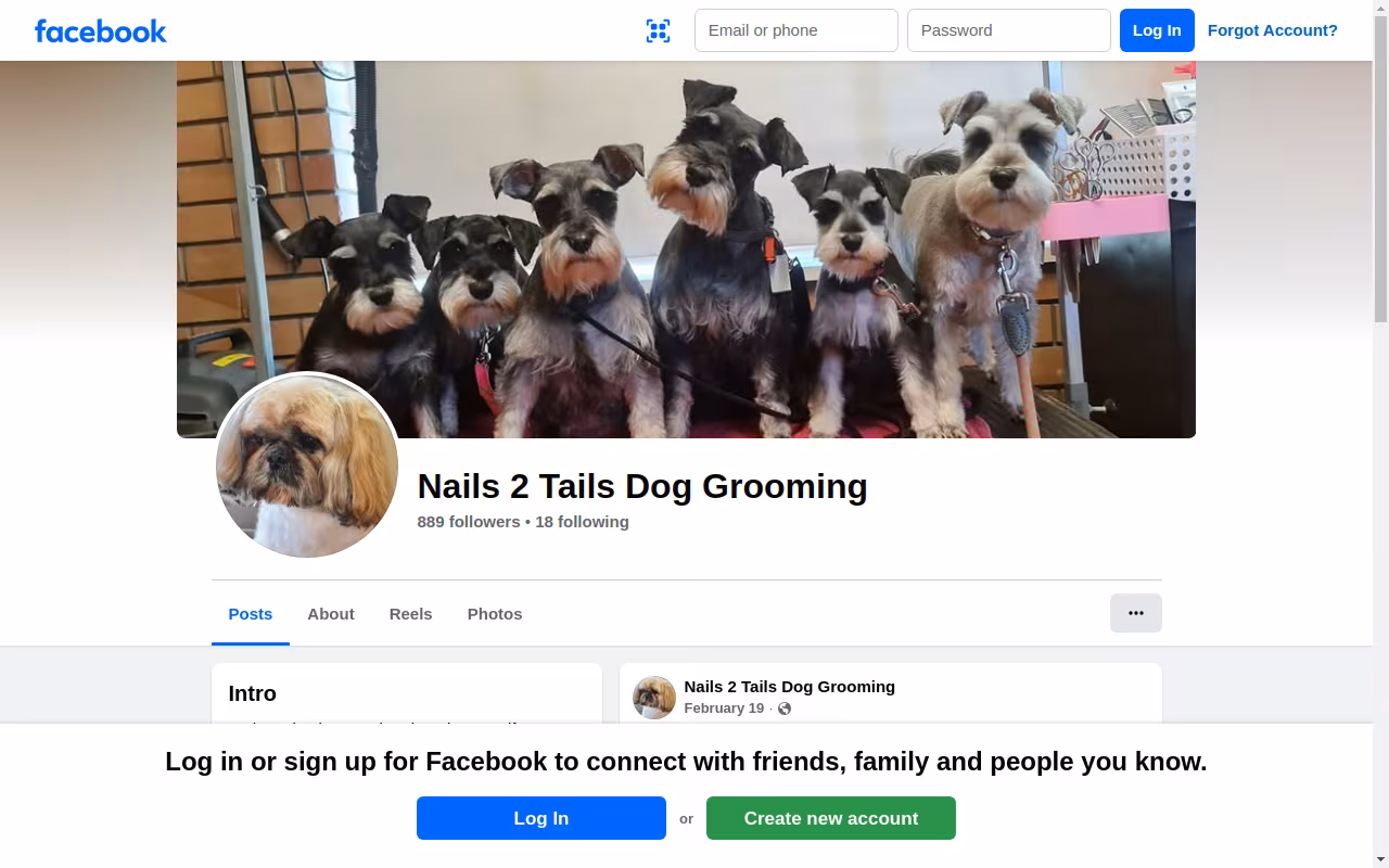 Nails 2 Tails Dog Grooming