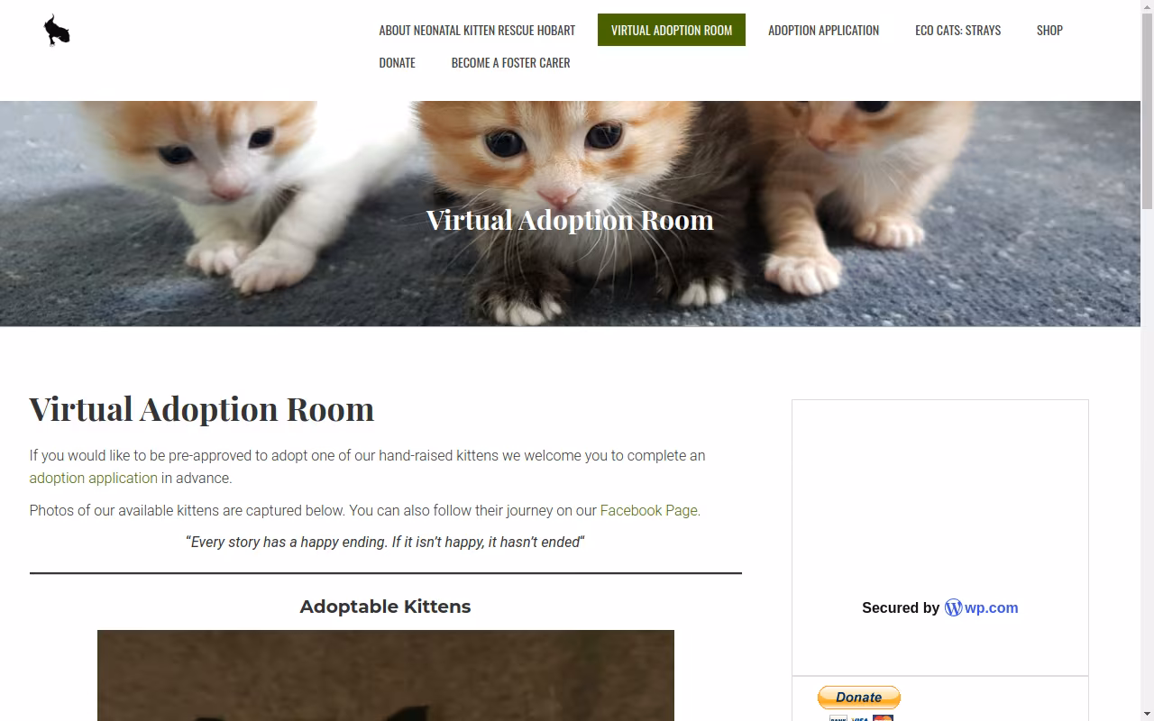 Neonatal Kitten Rescue Hobart