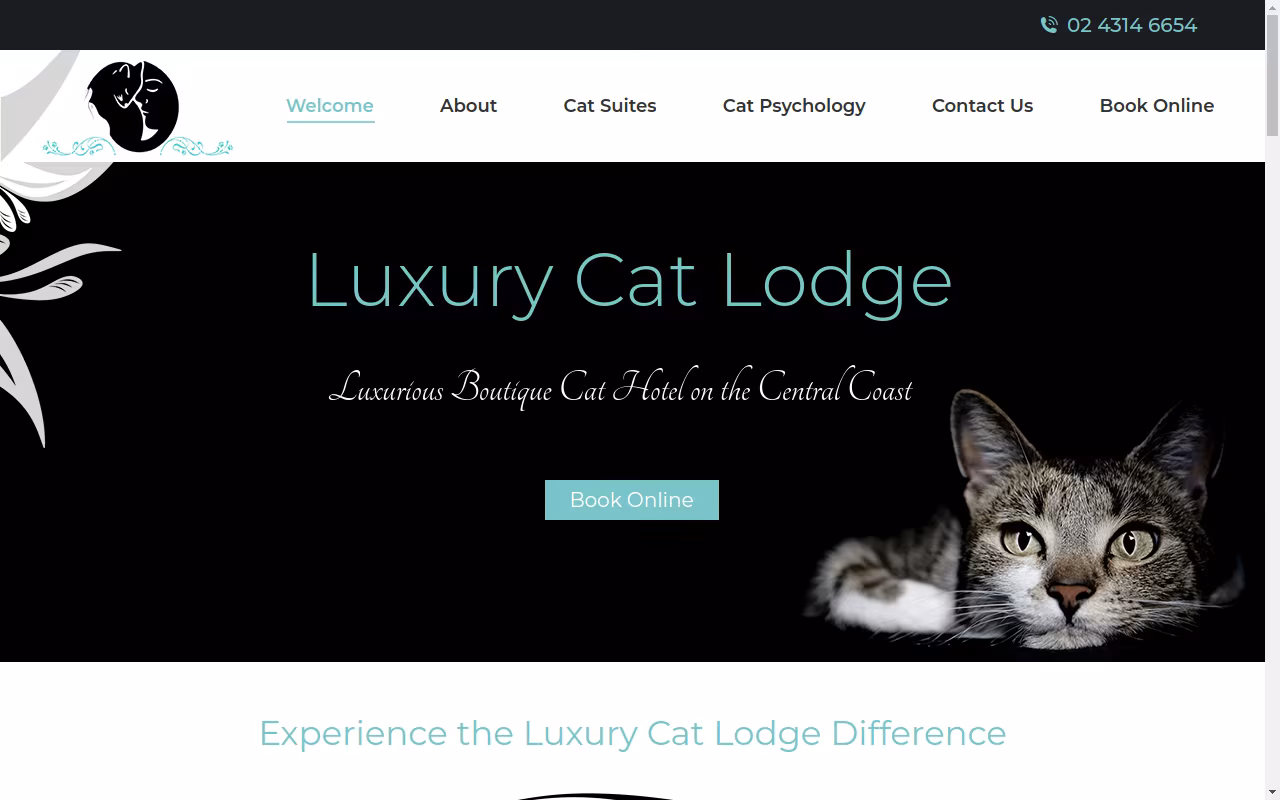 Luxury Cat Lodge - Cat Boarding Cattery Central Coast
