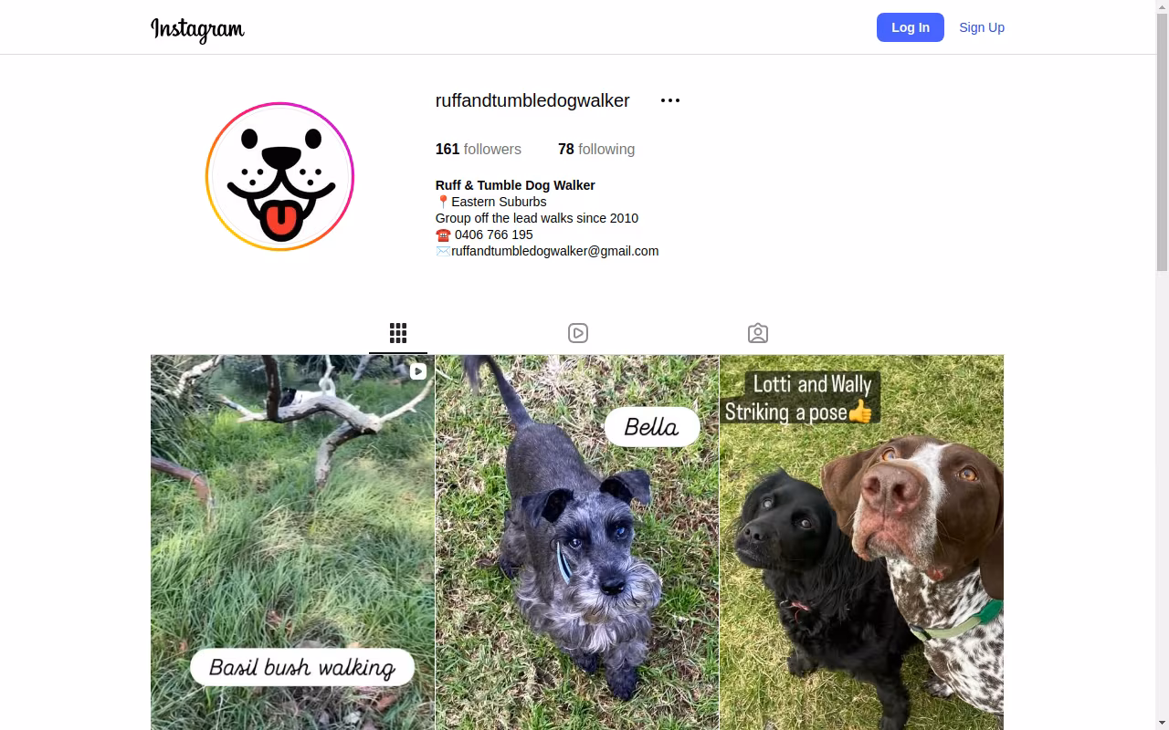 Ruff and tumble dog walker