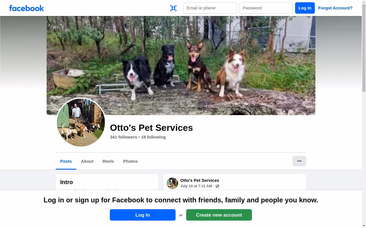 Otto's pet services