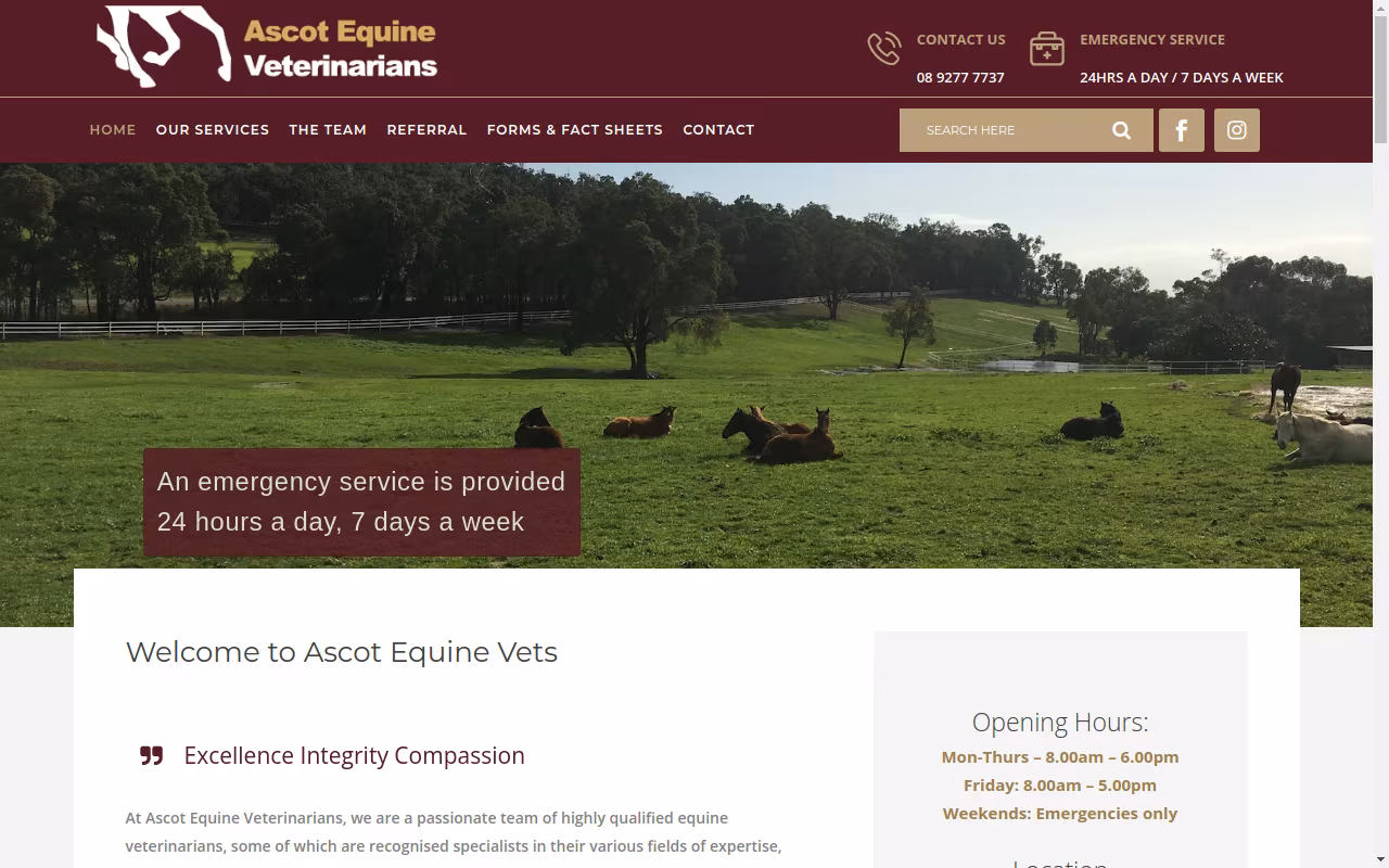 Ascot Equine Veterinarians