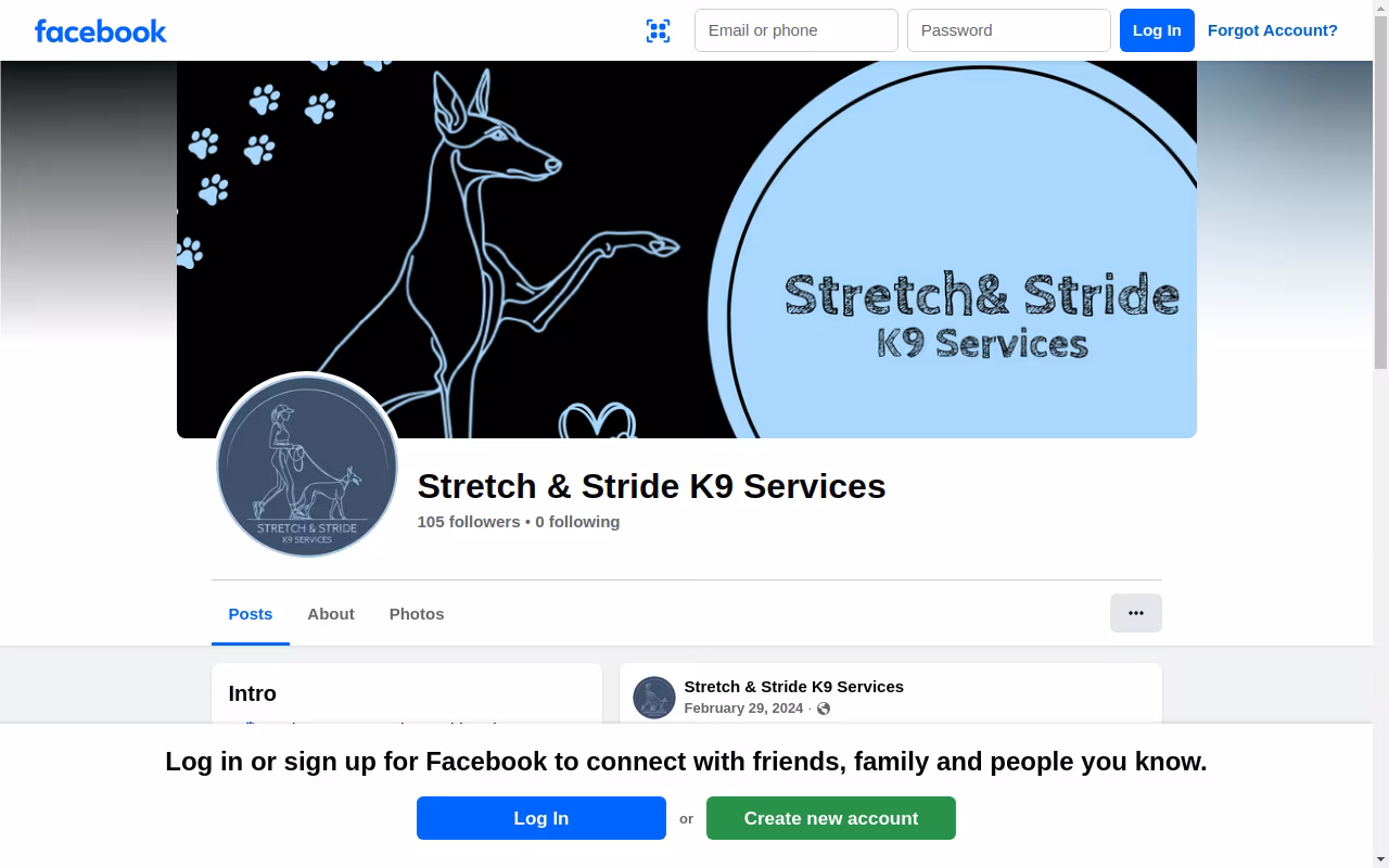 Stretch & Stride K9 Services