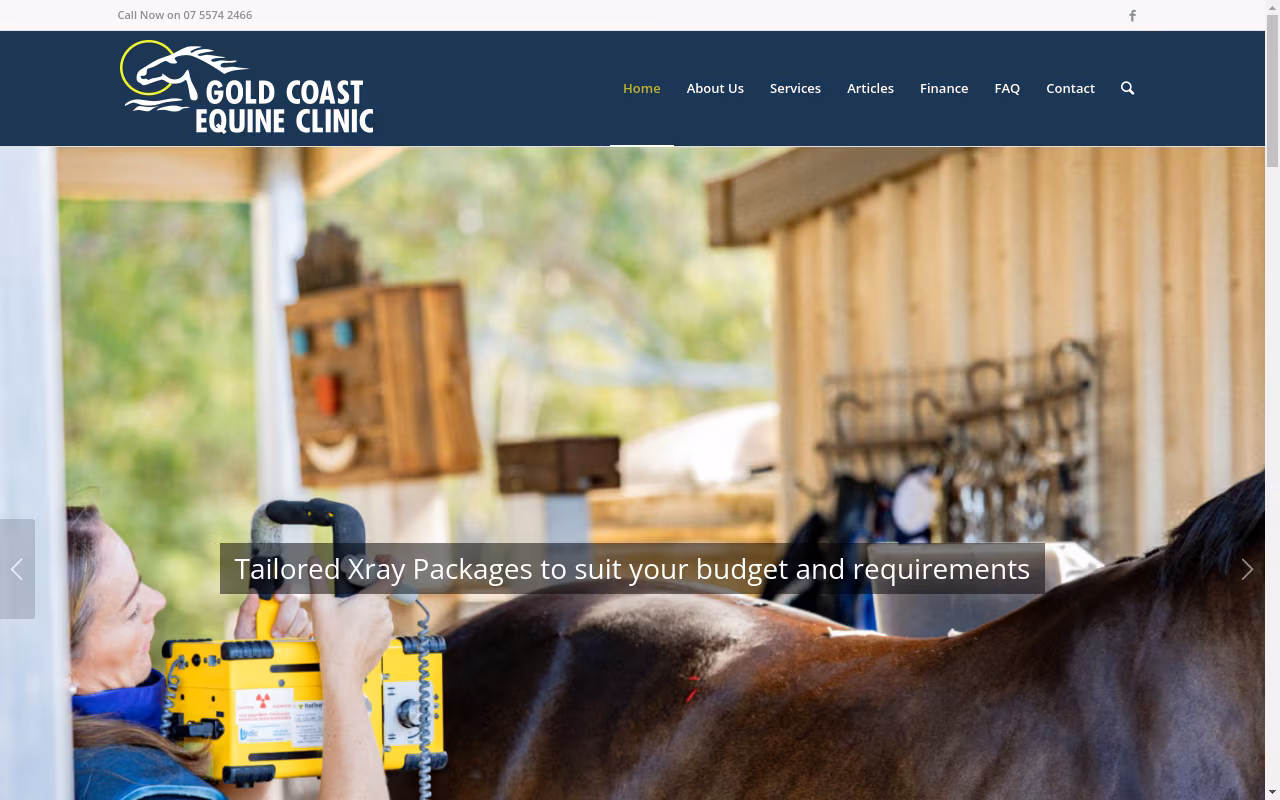 Gold Coast Equine Clinic
