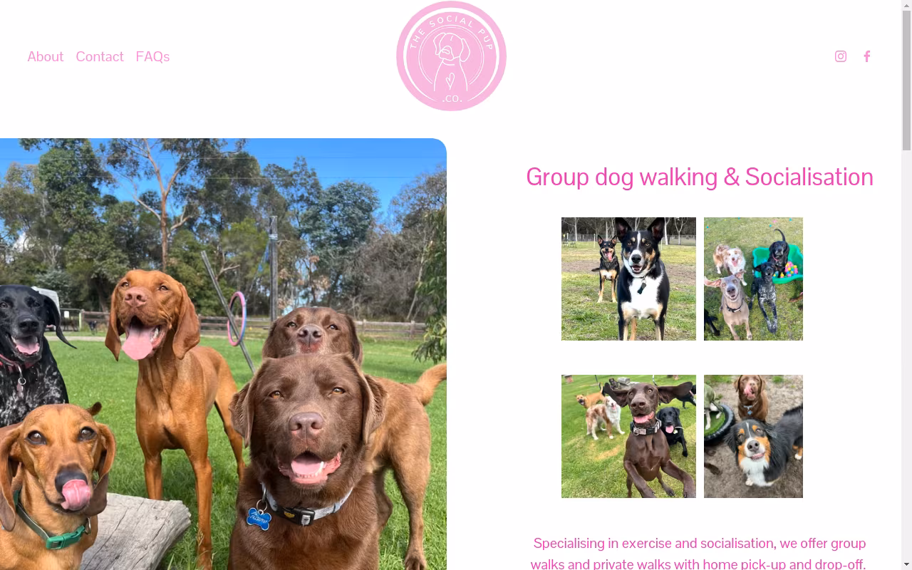 The Social Pup Co