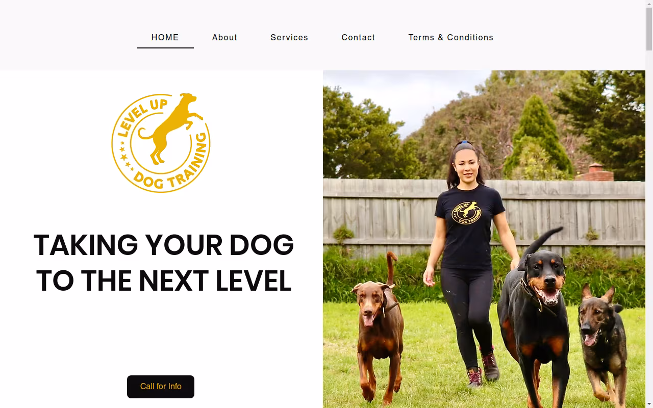 Level Up Dog Training