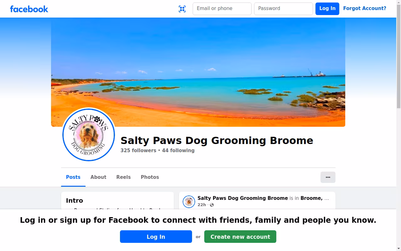 Salty Paws Dog Grooming Broome