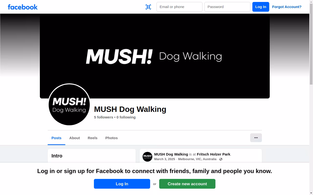 MUSH Dog Walking