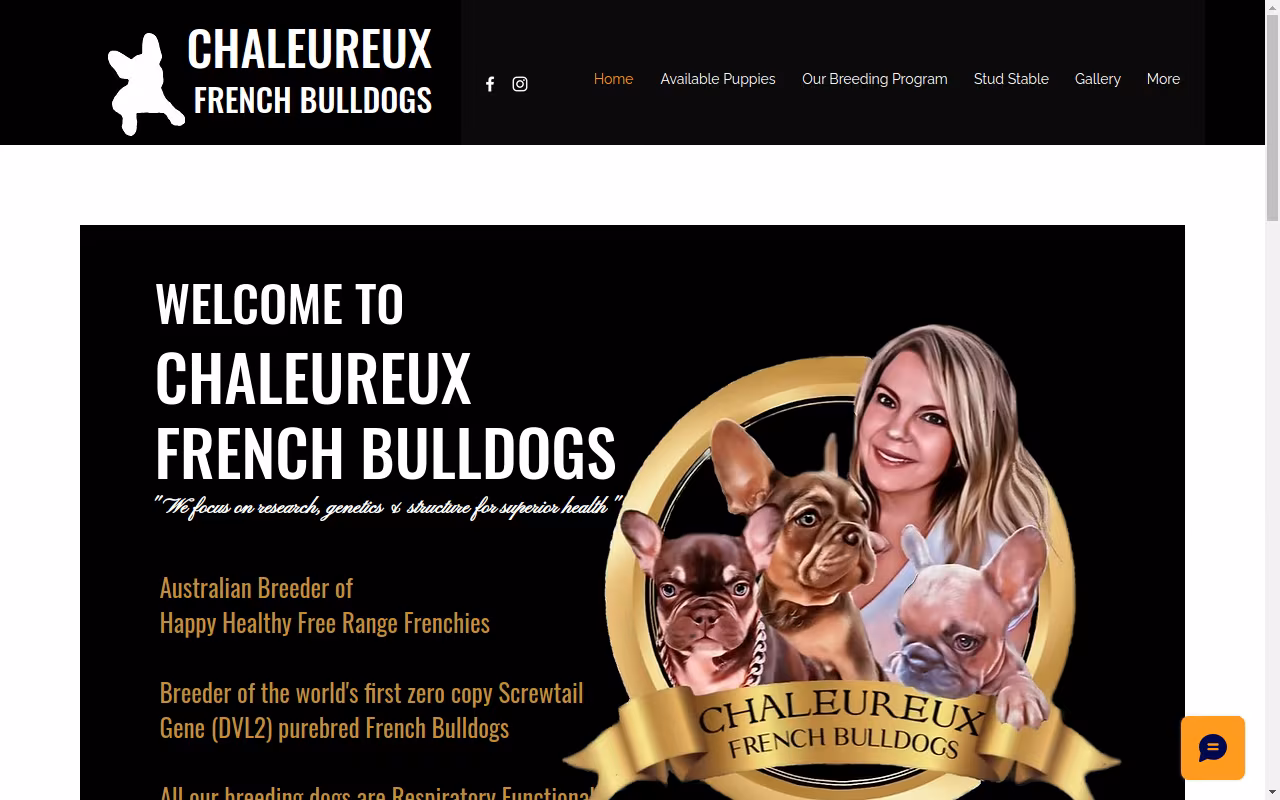 Chaleureux French Bulldogs