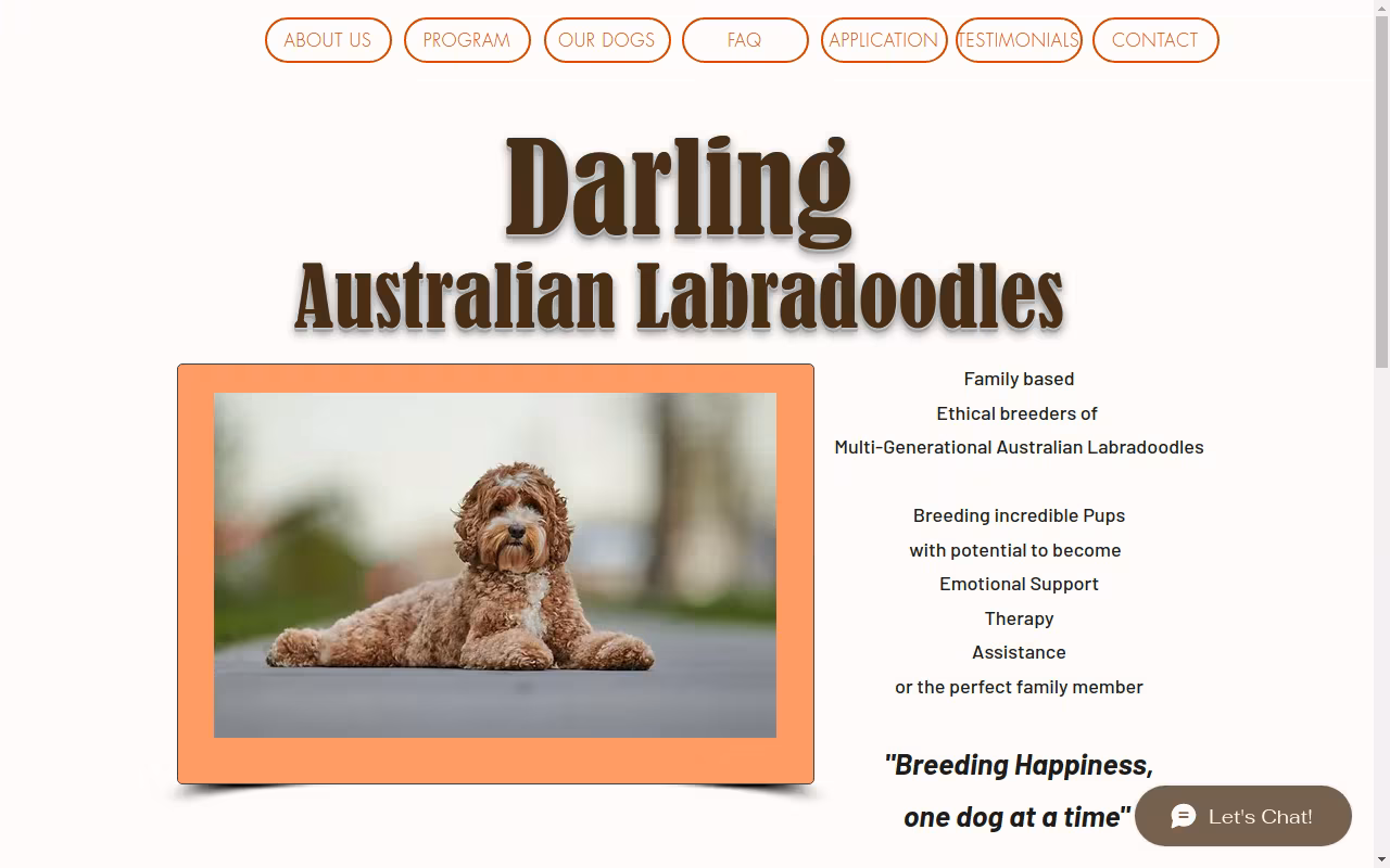 Darling Australian Labradoodles