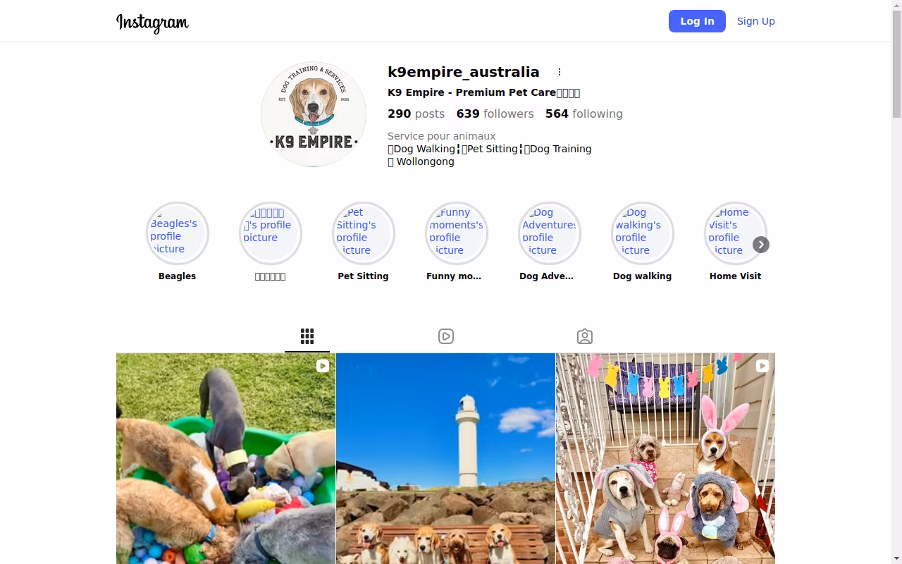 K9 Empire - Premium Pet Care & Dog Walking