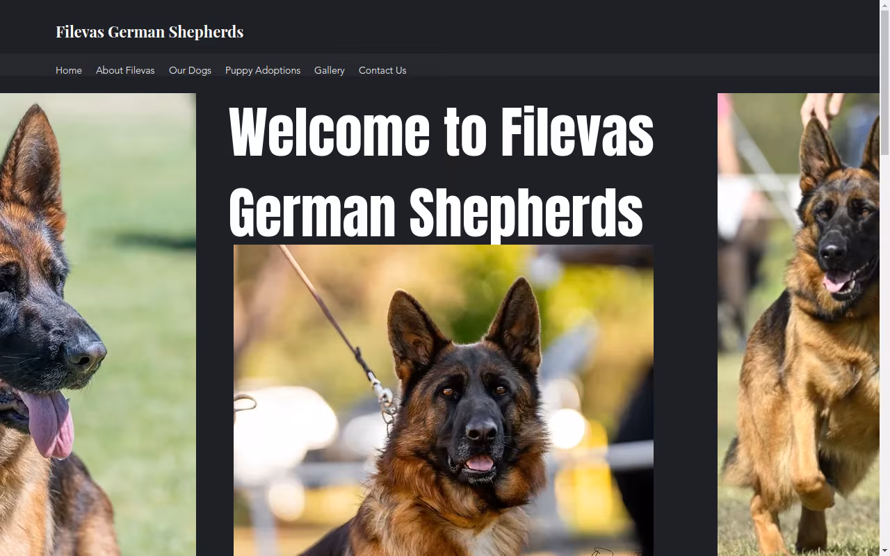 Filevas German Shepherds