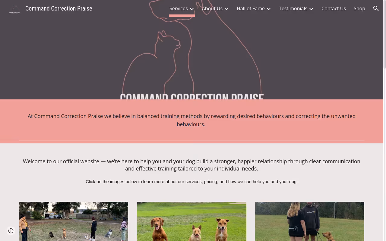 Command Correction Praise