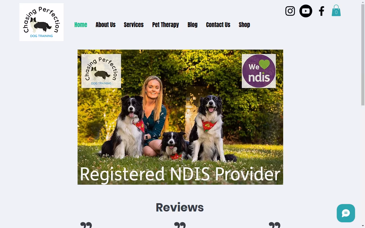 Chasing Perfection Dog Training