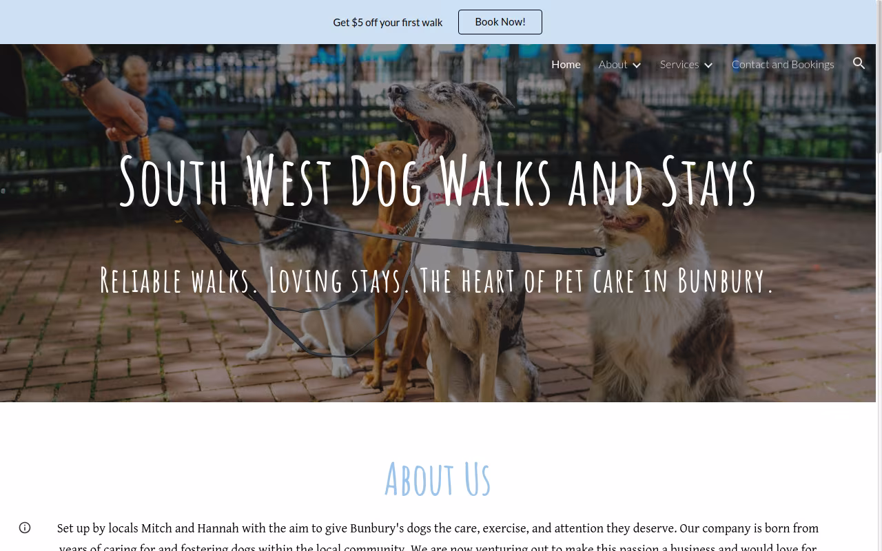 South West Dog Walks and Stays