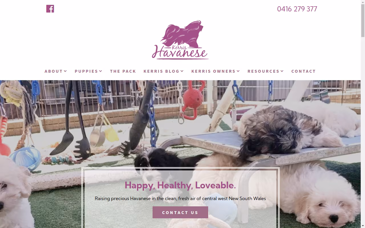 Kerris Havanese