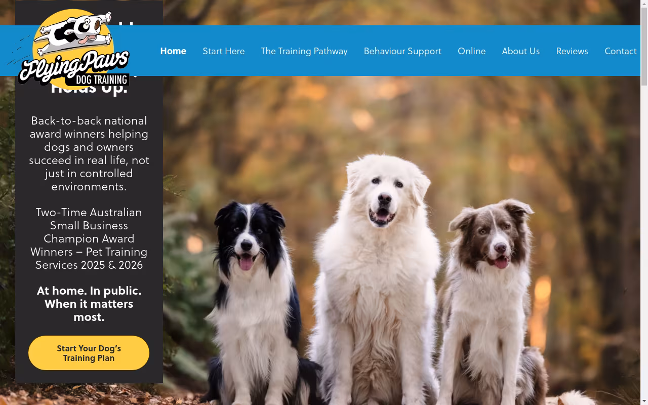 Flying Paws Dog Training