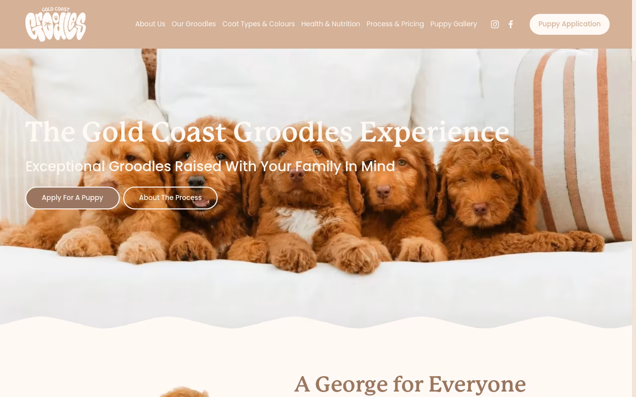 Gold Coast Groodles