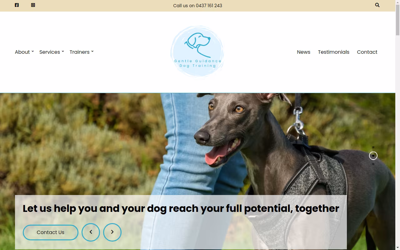 Gentle Guidance Dog Training
