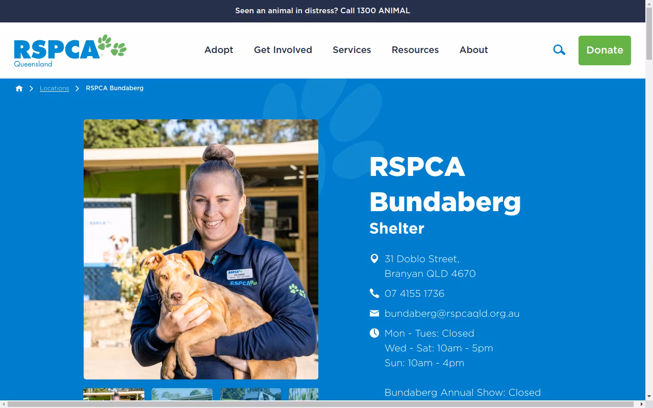 RSPCA Bundaberg