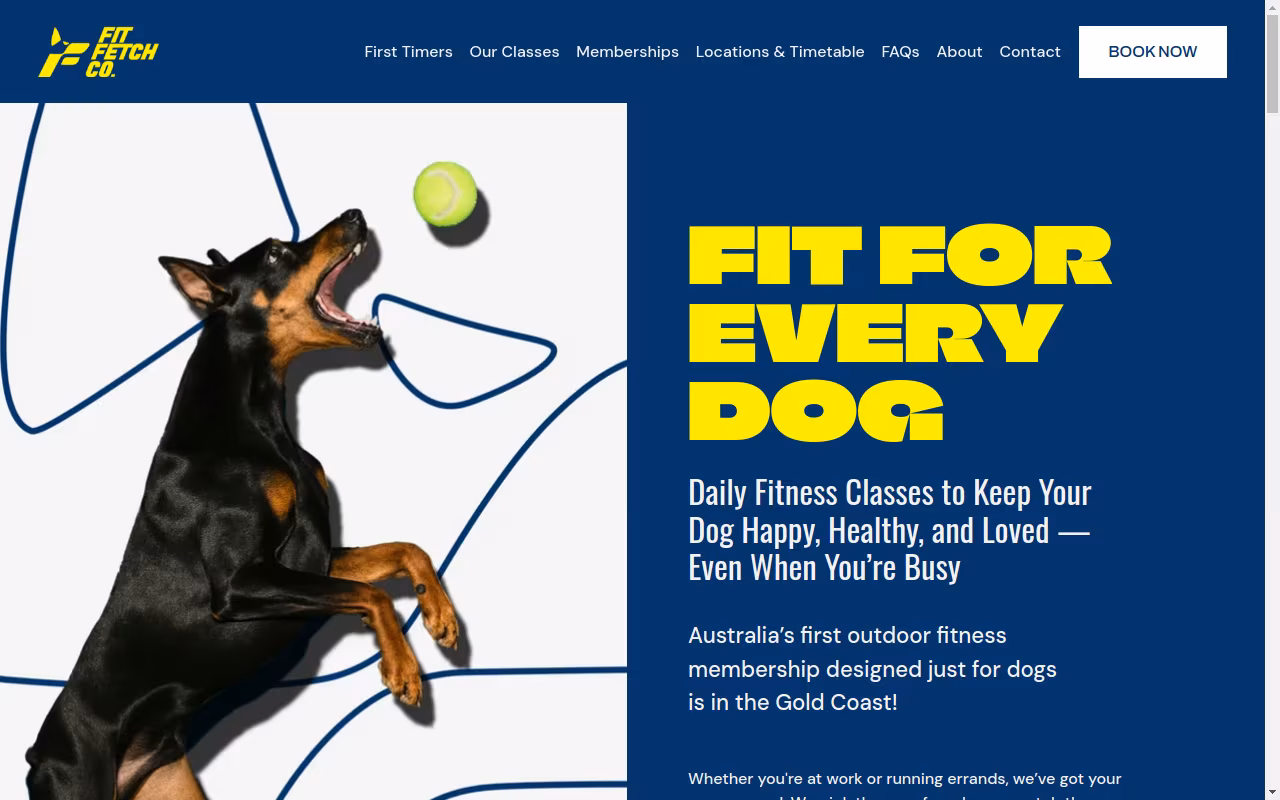 FitFetch Co.