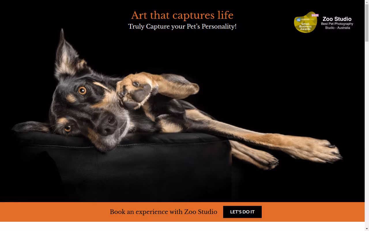 Zoo Studio | Pet Photography Melbourne
