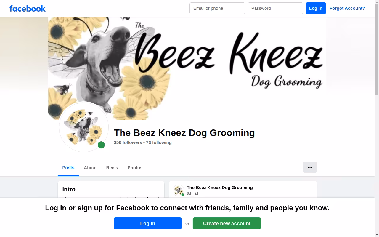 The Beez Kneez Dog Grooming